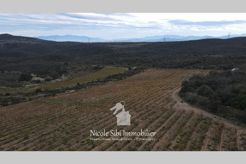 Terrain agricole - 28 875 m²