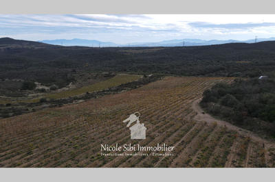 Terrain agricole - 28 875 m²