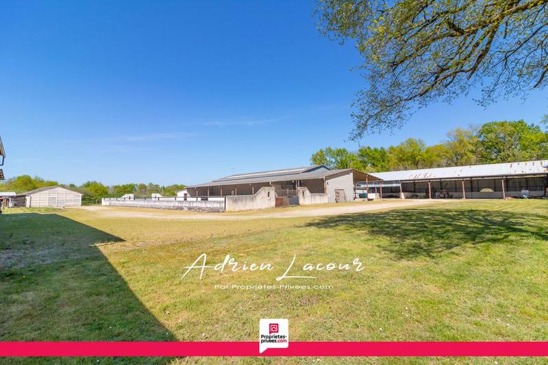 Maison - 165 m² - 8 pièces