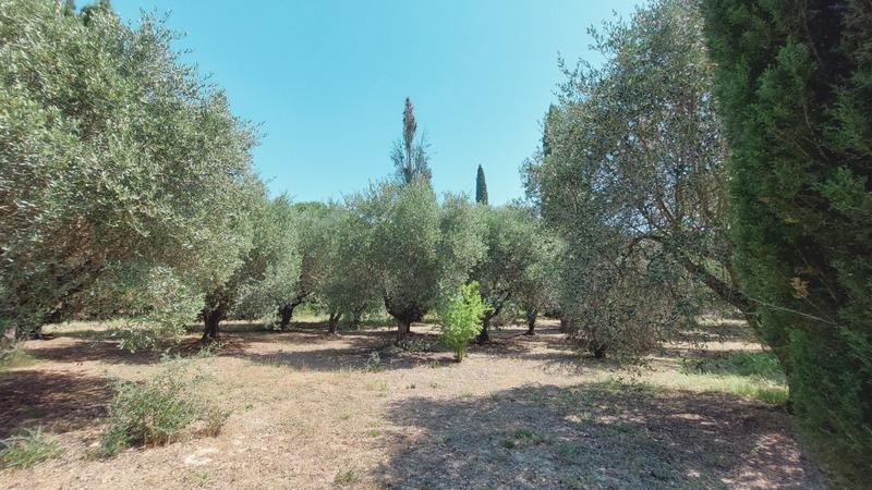 Propriété - 200 m² - 7 pièces