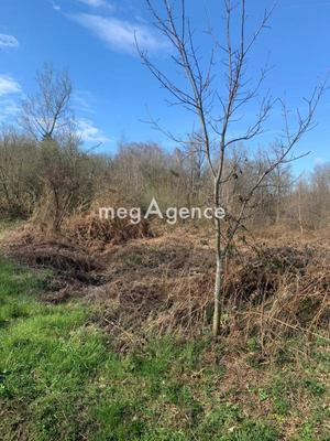 Terrain agricole - 8 000 m²