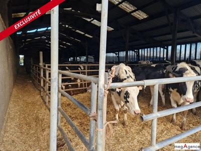 Maison - 2 000 m² - 3 pièces