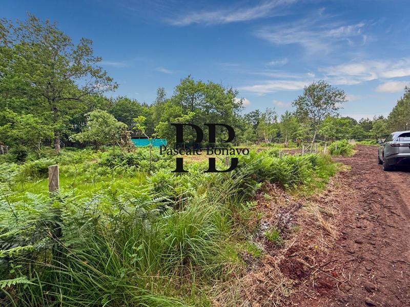 Terrain de loisirs - 2 327 m²