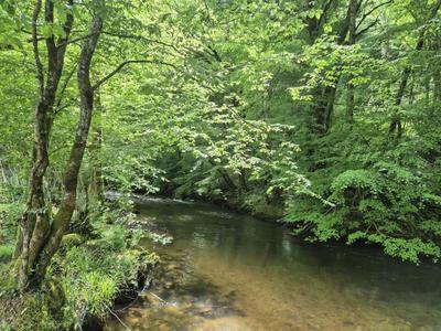 Propriété - 98 m² - 3 pièces