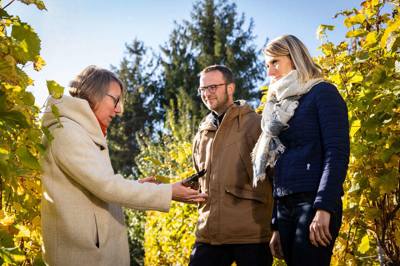Parenthèse Vigneronne : Fromages et Grands Crus