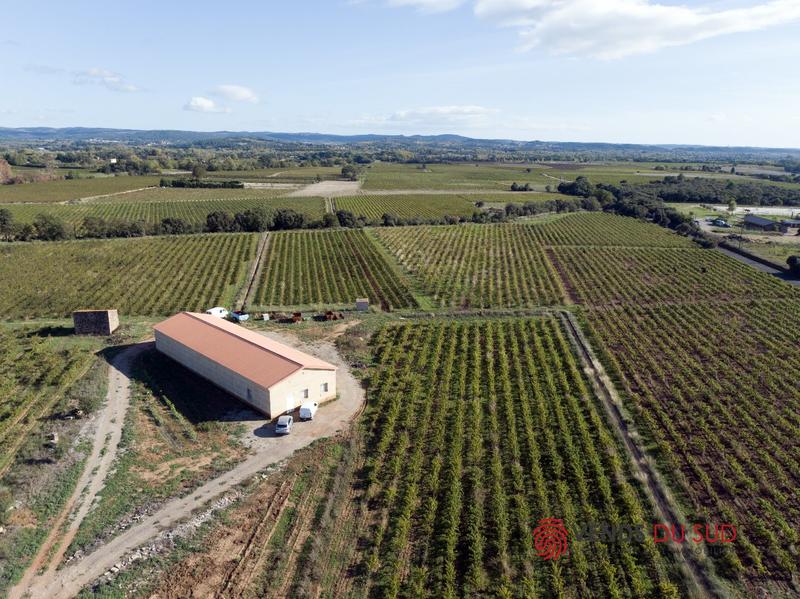 Propriété viticole - 1 pièce