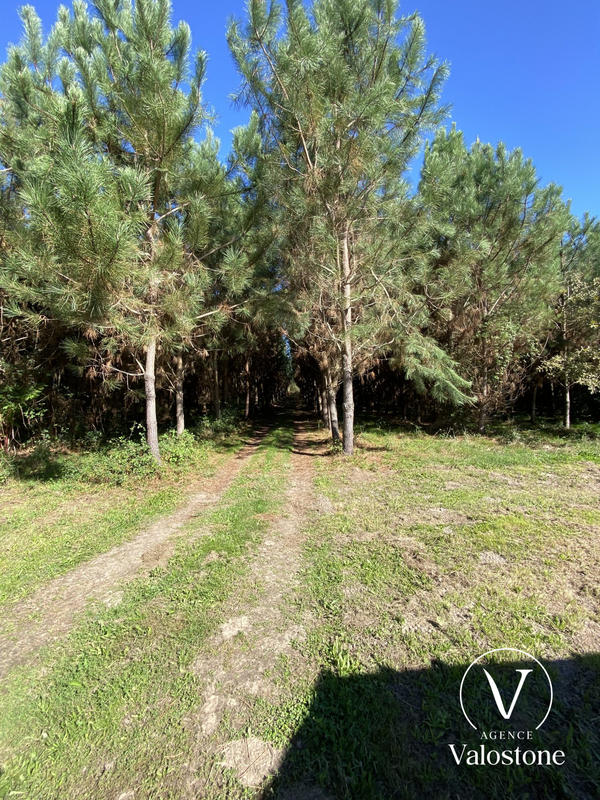 Maison - 246 m² - 6 pièces