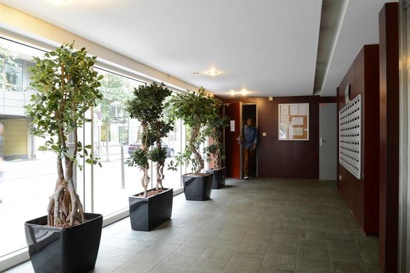 Studio - 19 m² - 1 pièce