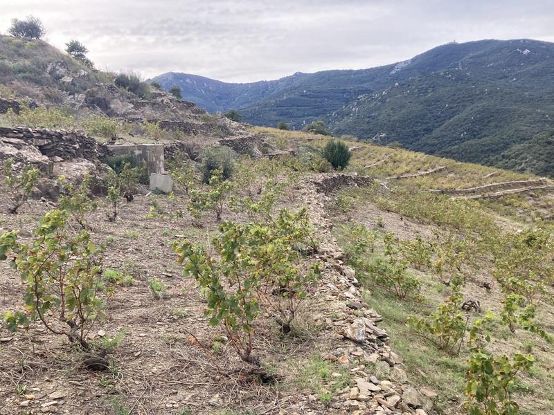 Terrain agricole - 10 846 m²