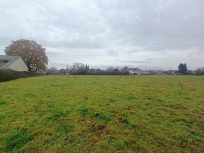 Terrain - 11 770 m²