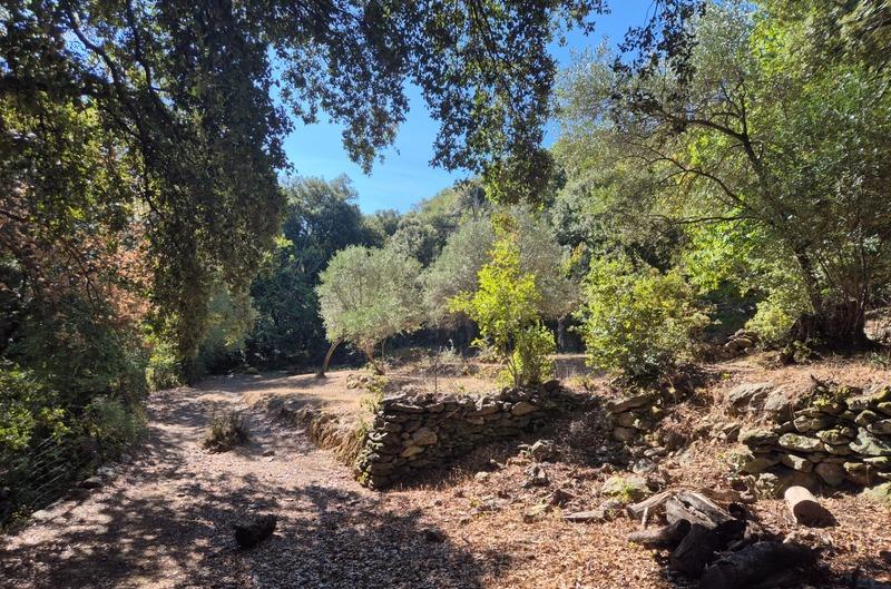 Propriété - 208 m² - 7 pièces