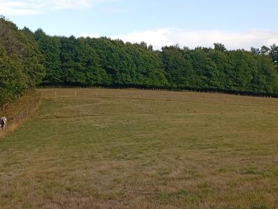 Terrain agricole - 151 596 m²