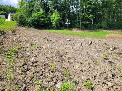 Terrain - 1 220 m²