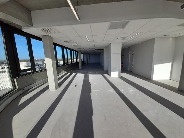 Bureau - 1 003 m²