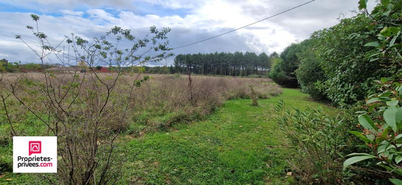 Maison - 235 m² - 7 pièces