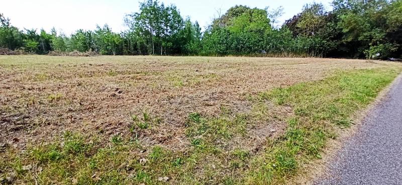 Terrain constructible - 428 m²