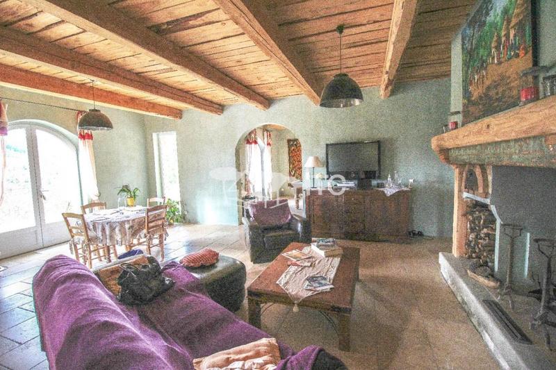 Maison en pierre - 296 m² - 7 pièces