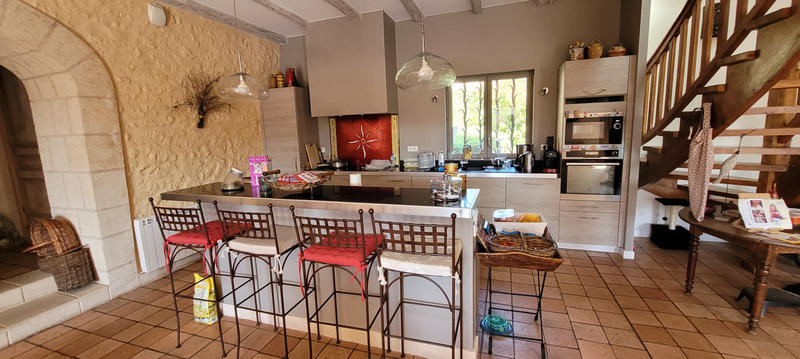 Viager - Maison - 515 m² - 17 pièces