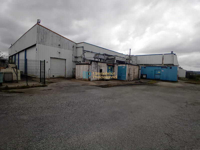 Local d'activités - 2 500 m²