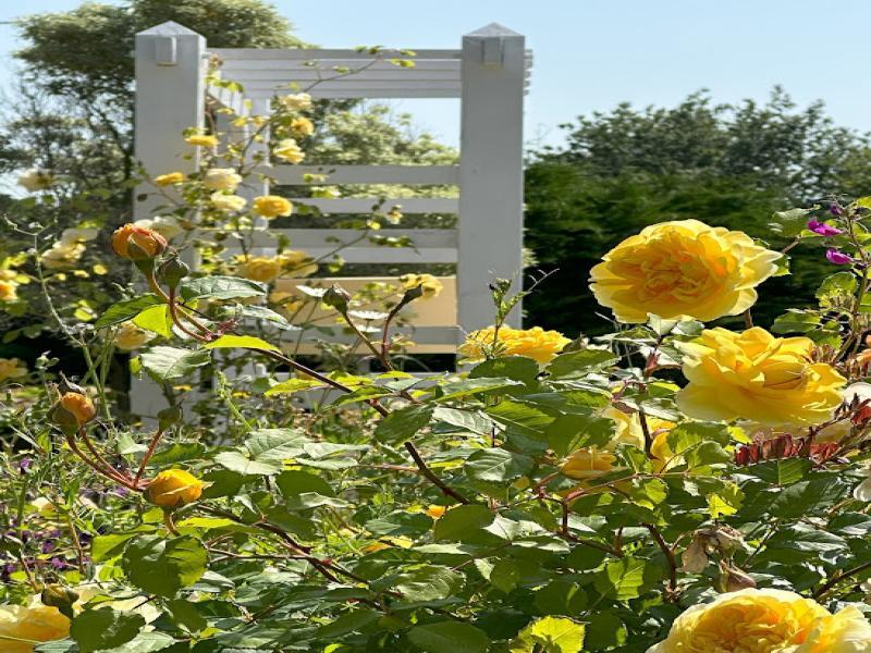 Longère - 222 m² - 8 pièces