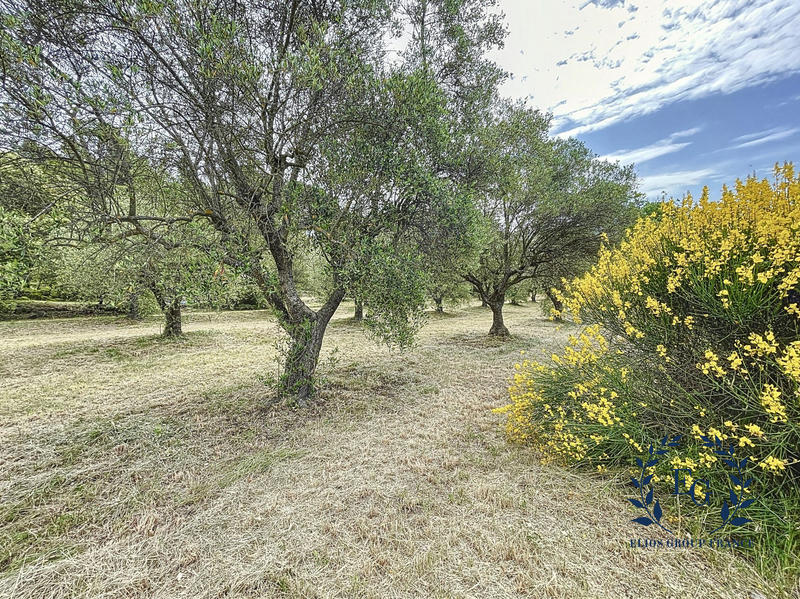 Maison traditionnelle - 218 m² - 6 pièces