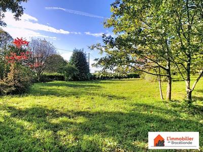 Maison de campagne - 80 m² - 5 pièces