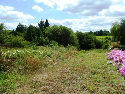 Terrain constructible - 1 037 m²