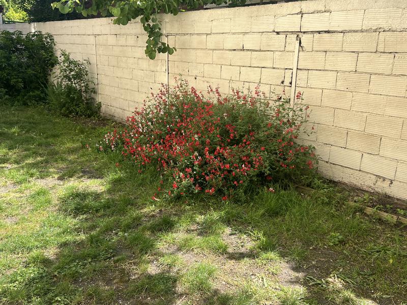 Appartement - 85 m² - 5 pièces