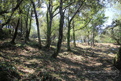 Terrain - 6 300 m²