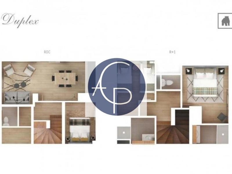 Appartement - 65 m² - 4 pièces