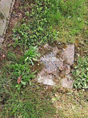 Terrain constructible - 1 147 m²