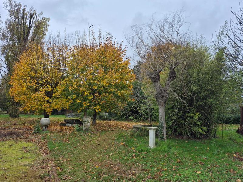 Maison - 219 m² - 5 pièces