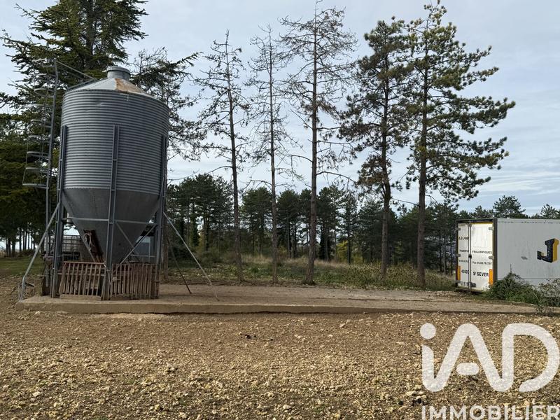 Terrain - 991 703 m²