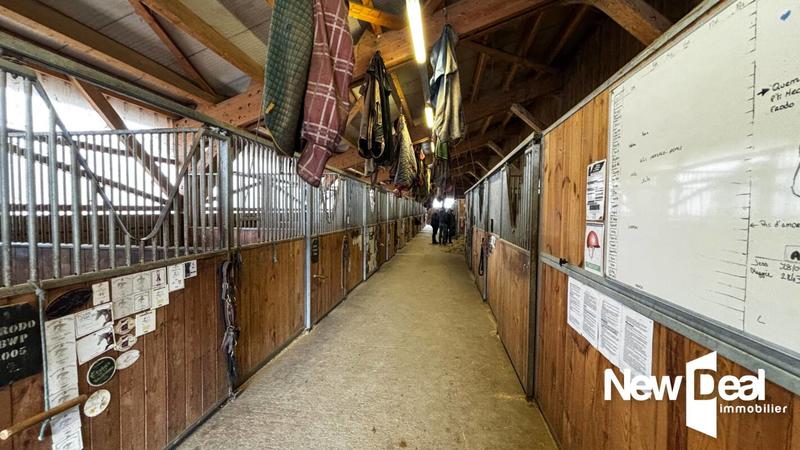 Maison de domaine équestre - 250 m² - 10 pièces