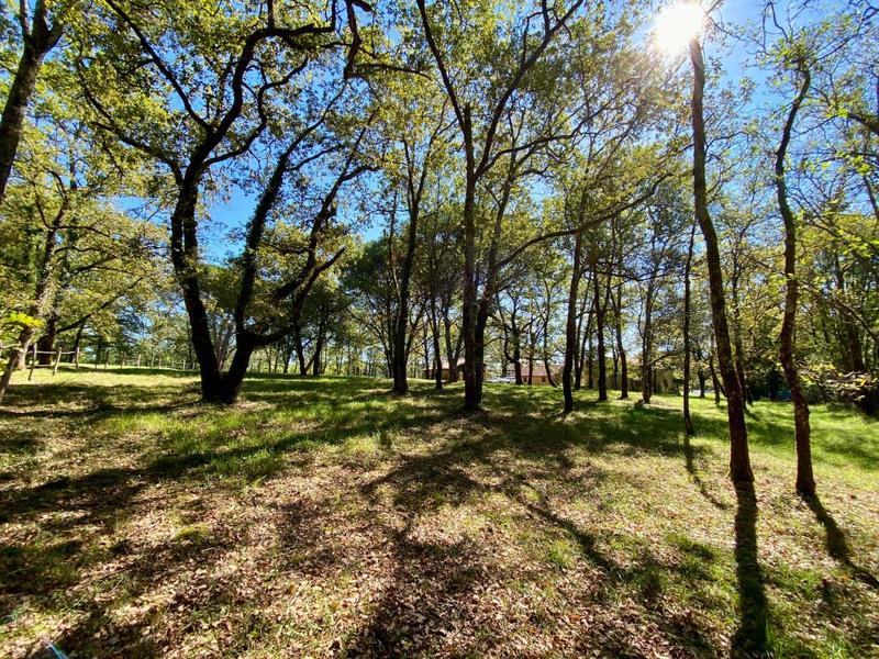 Propriété - 105 m² - 4 pièces