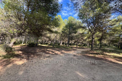 Terrain de loisirs - 5 245 m²