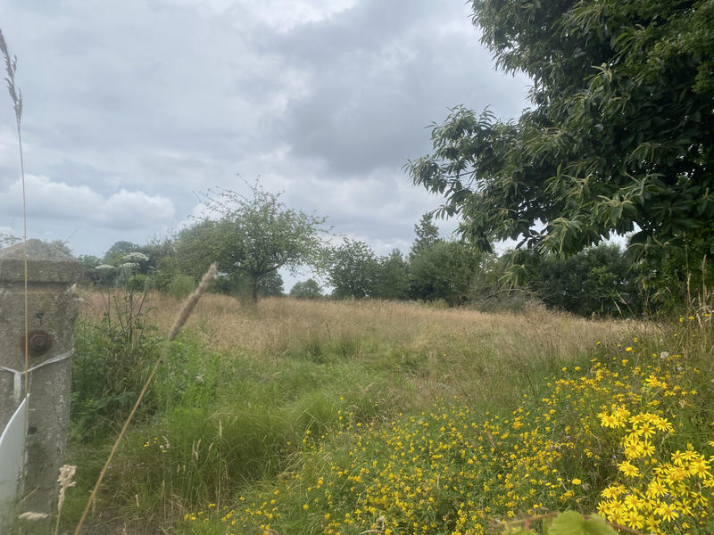 Parking / Garage - 150 m²