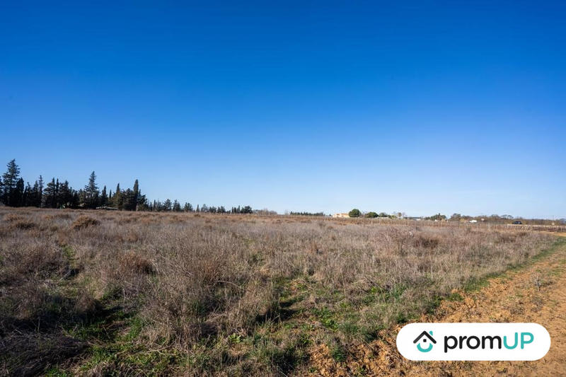 Terrain agricole - 3 200 m²