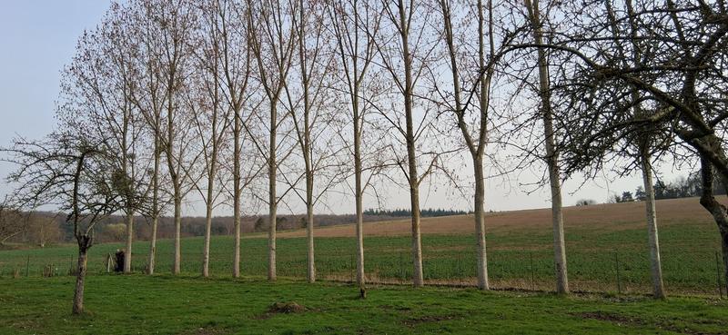 Maison - 115 m² - 3 pièces