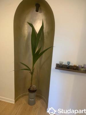 Appartement - 50 m² - 3 pièces