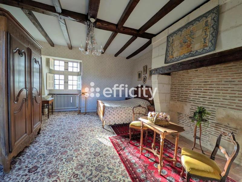 Château - 321 m² - 9 pièces