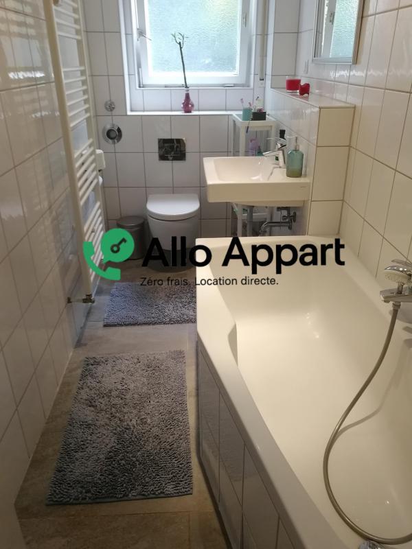 Studio - 24 m² - 1 pièce