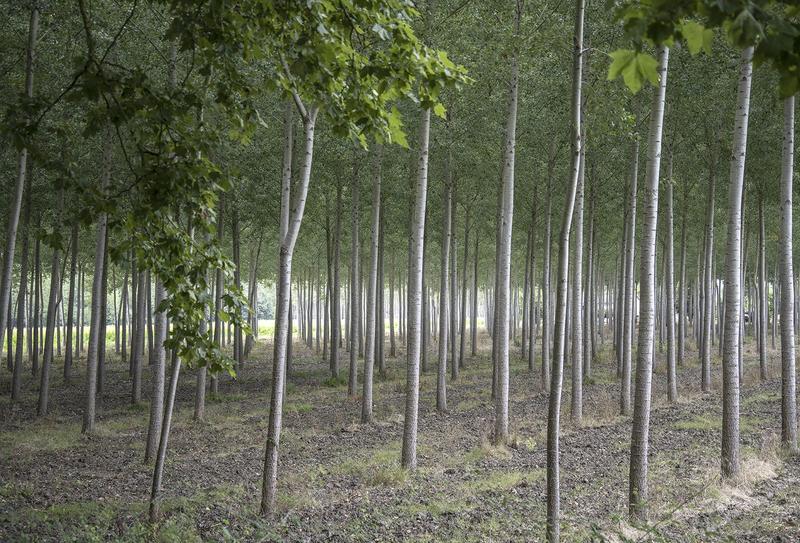 Imagine ta forme des lieux