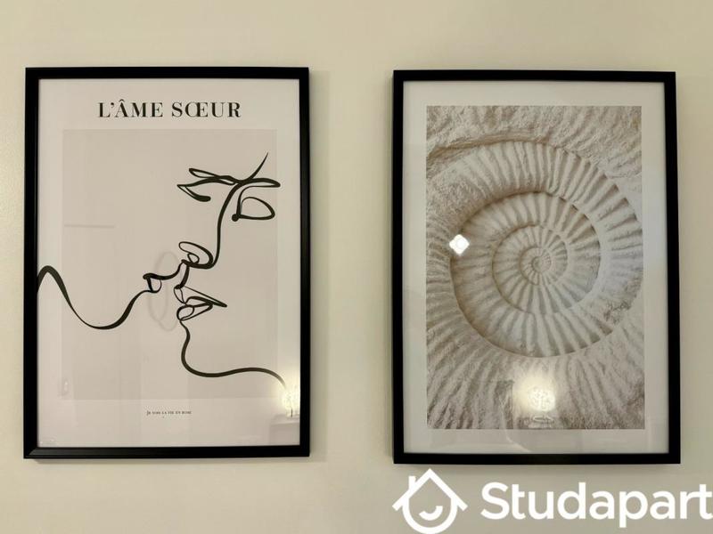 Appartement - 50 m² - 2 pièces