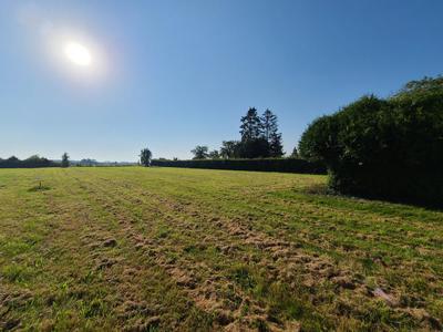 Terrain - 1 288 m²
