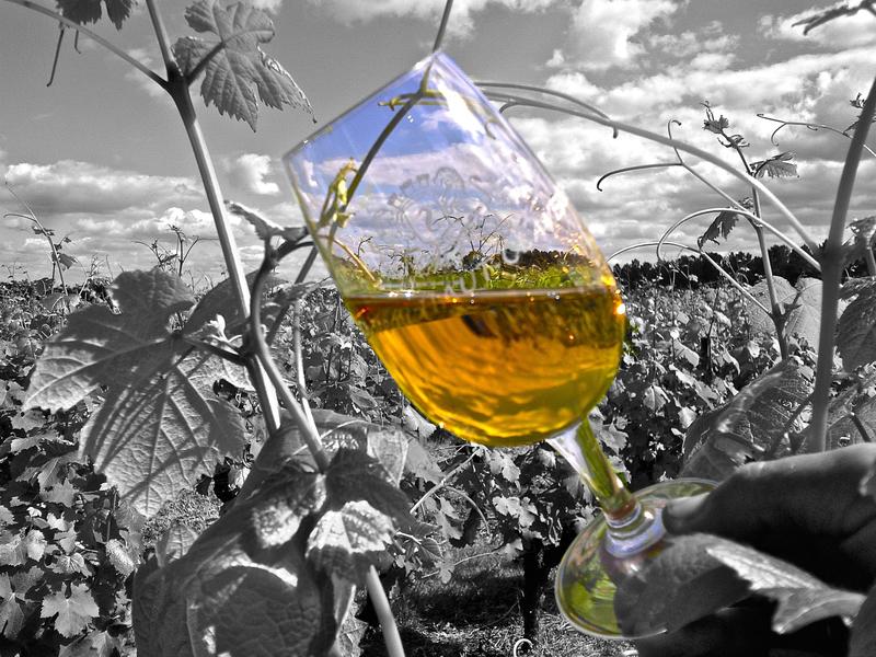 Pâques en vignes au Château Haut- Claverie