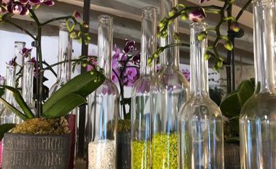 1 . Flore &amp; Sens