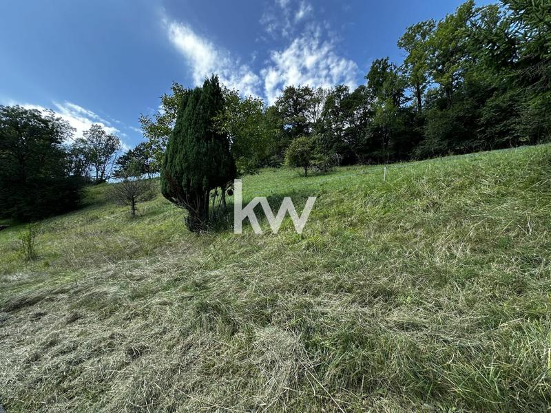 Maison - 365 m² - 17 pièces