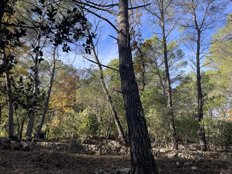 Terrain constructible - 2 610 m²