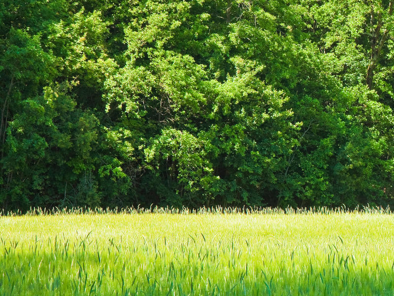 Maison - 84 m² - 6 pièces